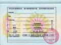 Оформите РВП без хлопот