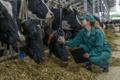 Продажа агрохолдинга