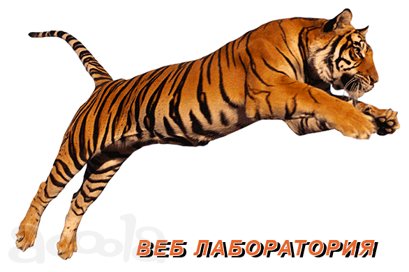 Разработка и создание сайтов.