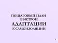 Срочно читать всем самоизолированным!