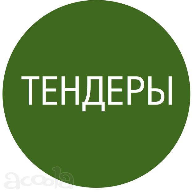 Помощь участия в закупках (тендерах) по 44 и 223